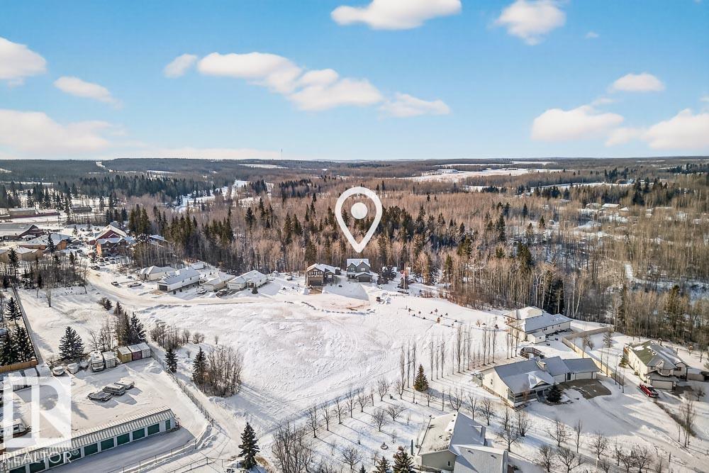 132 Heron Point Cl, Rural Wetaskiwin County, Alberta  T0C 2V0 - Photo 53 - E4478793