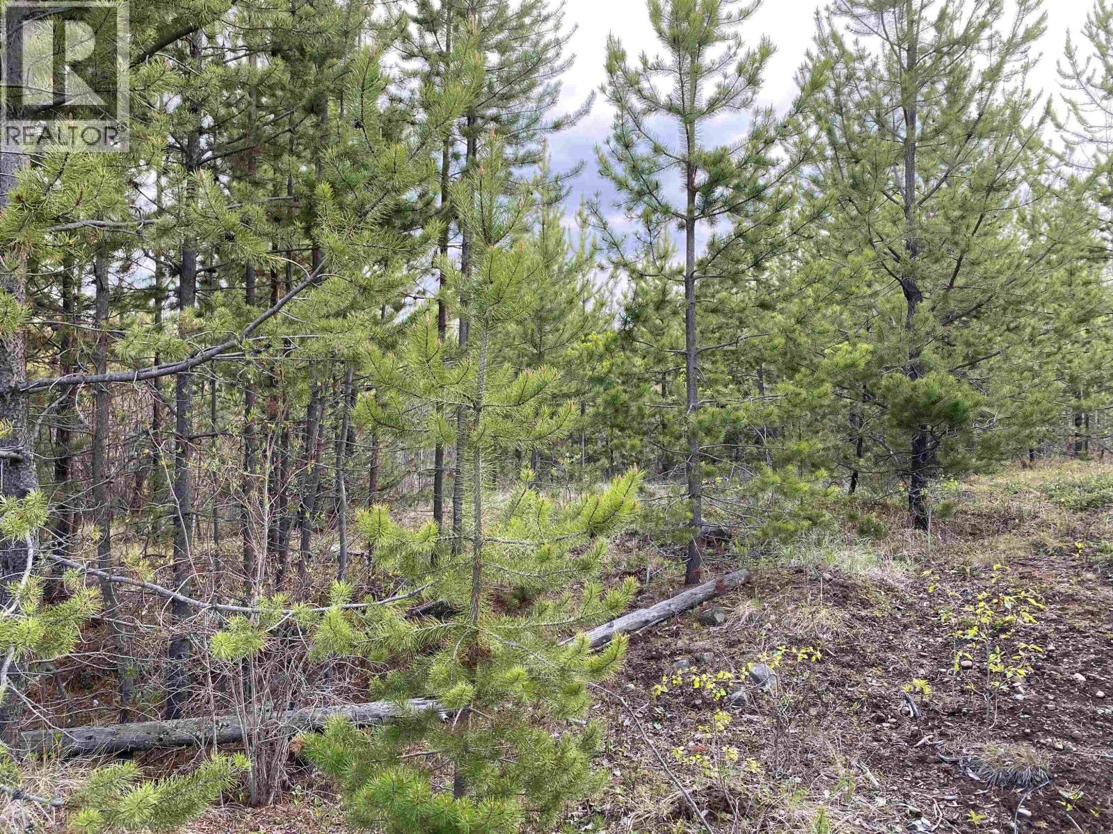 Blk C 94 Mile Frontage Road, 100 Mile House, British Columbia  V0K 2E2 - Photo 7 - R3106724