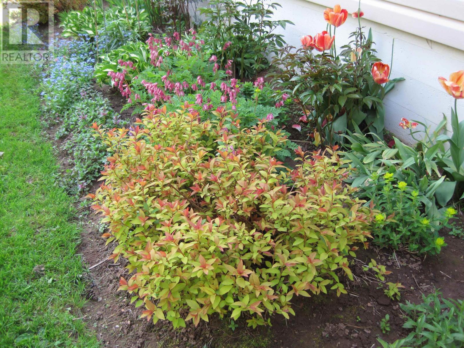 20 Avonlea Drive, Charlottetown, Prince Edward Island  C1C 1C7 - Photo 36 - 202606277