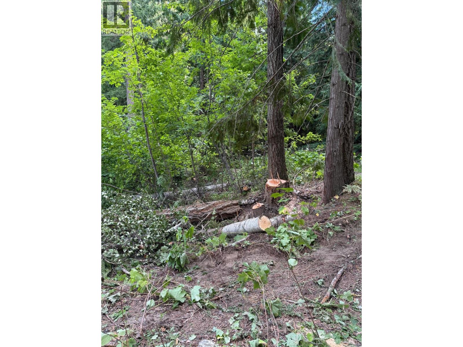 Lot 2 Martens Road, Slocan, British Columbia  V0G 2C0 - Photo 5 - 10381831