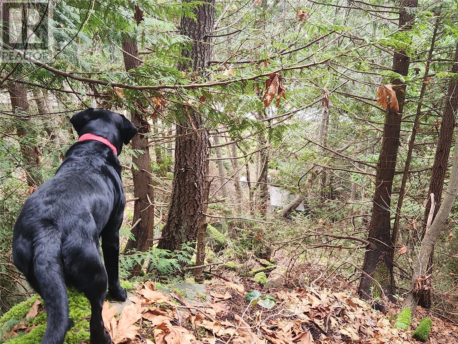 948 Harrison Way, Gabriola Island, British Columbia  V0R 1X2 - Photo 18 - 1030726