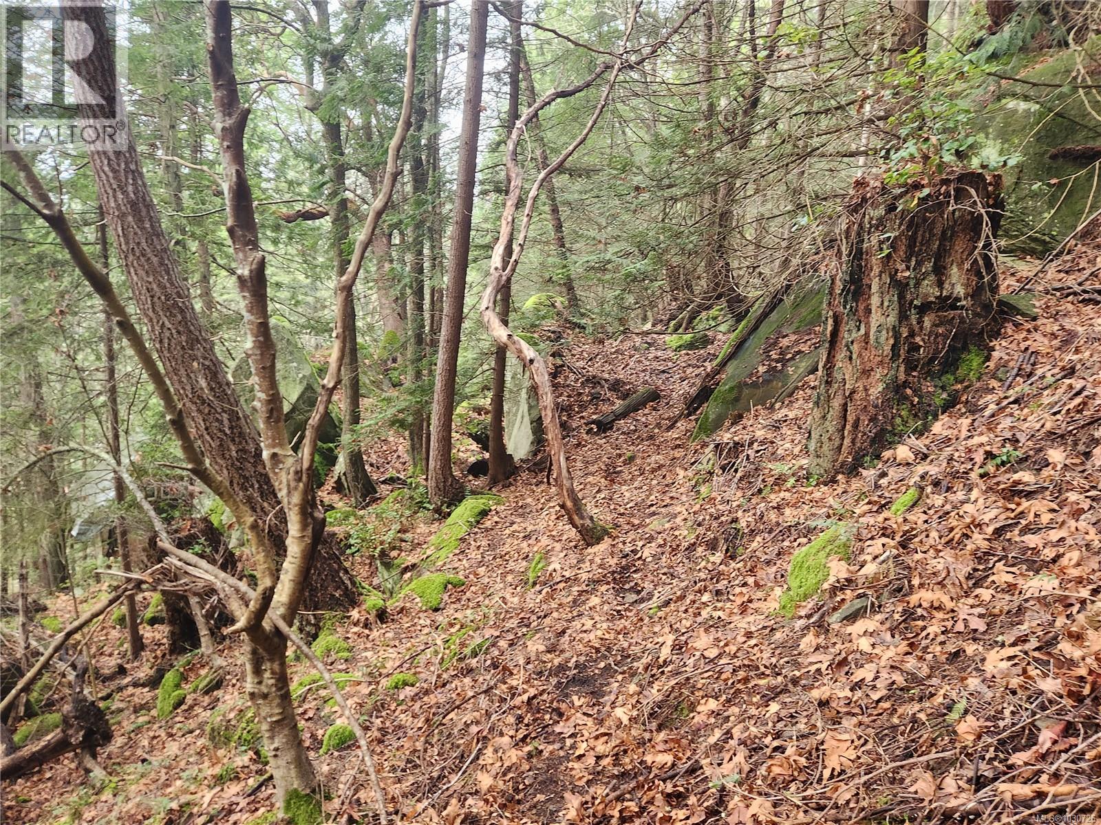 948 Harrison Way, Gabriola Island, British Columbia  V0R 1X2 - Photo 21 - 1030726