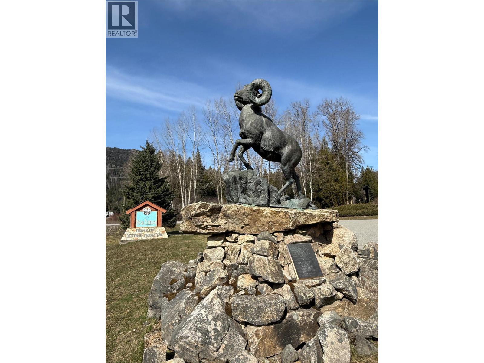 Vector Road Lot# 7, Salmo, British Columbia  V0G 1Z0 - Photo 2 - 10381169