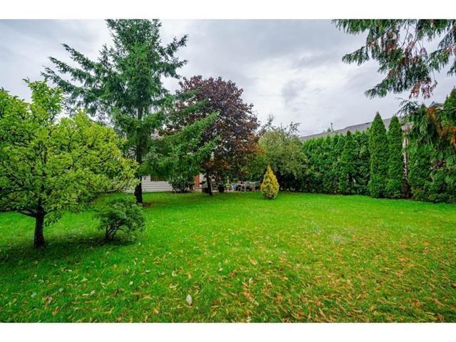 19680 56 Avenue, Langley, British Columbia  V3S 6K3 - Photo 6 - R3106030