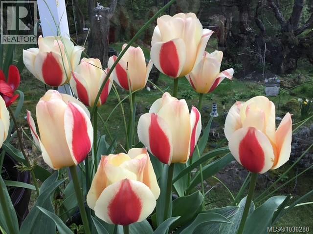 2635 Shoal Rd, Pender Island, British Columbia  V0N 2M2 - Photo 60 - 1030280