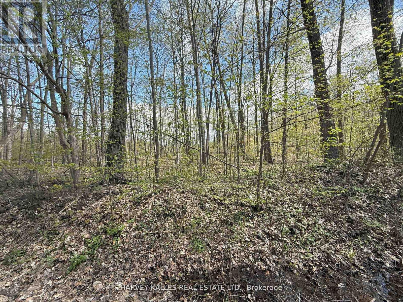 0 Oakwood Lane, Greater Napanee, Ontario  K0H 1G0 - Photo 10 - X12954258