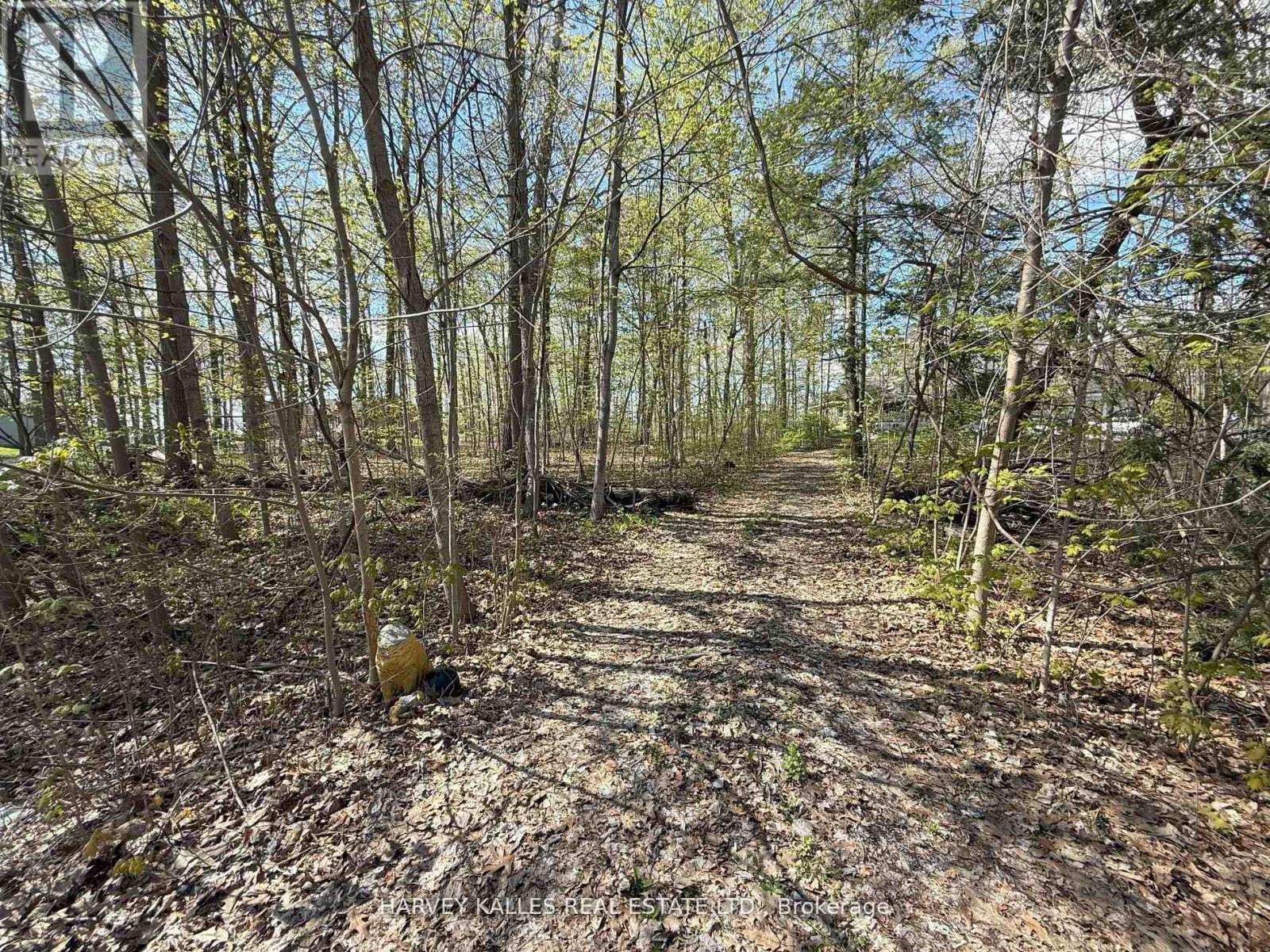 0 Oakwood Lane, Greater Napanee, Ontario  K0H 1G0 - Photo 12 - X12954258