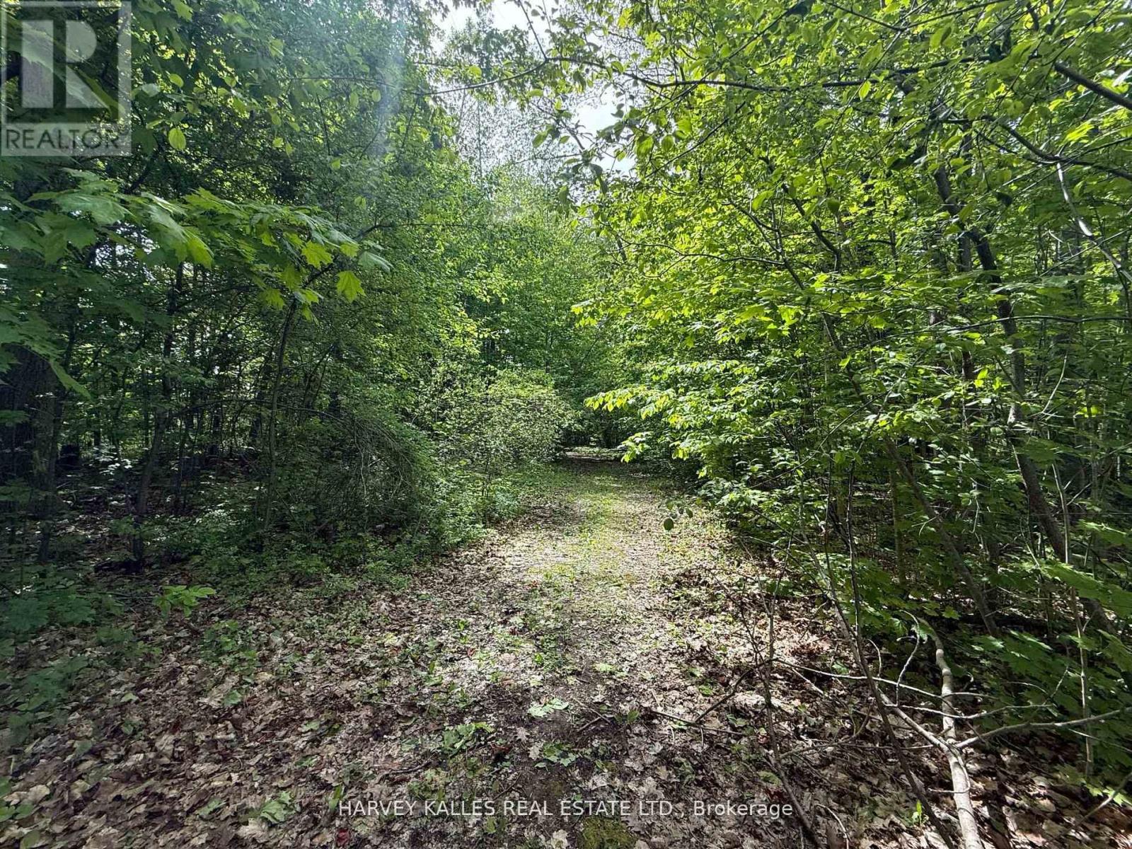 0 Oakwood Lane, Greater Napanee, Ontario  K0H 1G0 - Photo 2 - X12954258