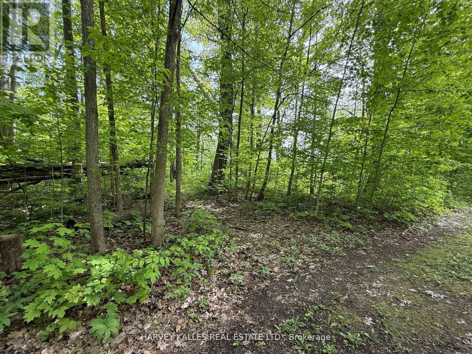 0 Oakwood Lane, Greater Napanee, Ontario  K0H 1G0 - Photo 3 - X12954258