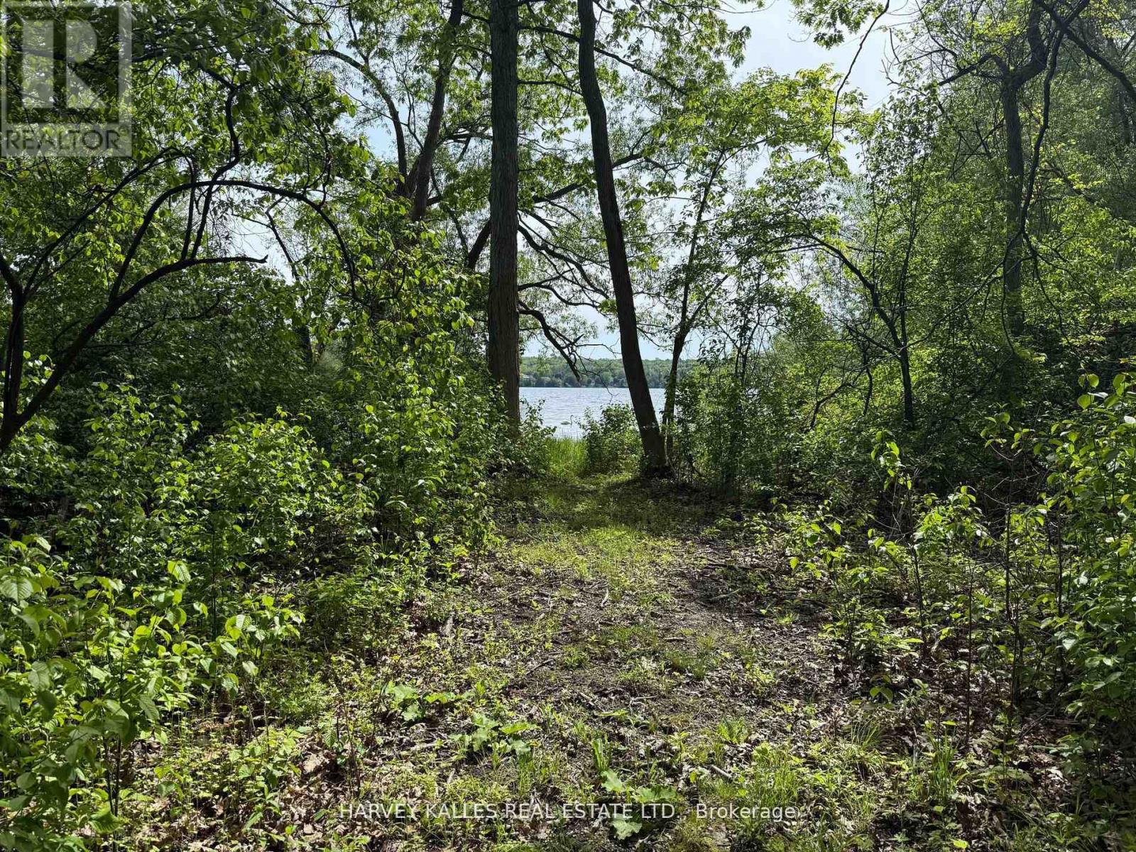 0 Oakwood Lane, Greater Napanee, Ontario  K0H 1G0 - Photo 4 - X12954258