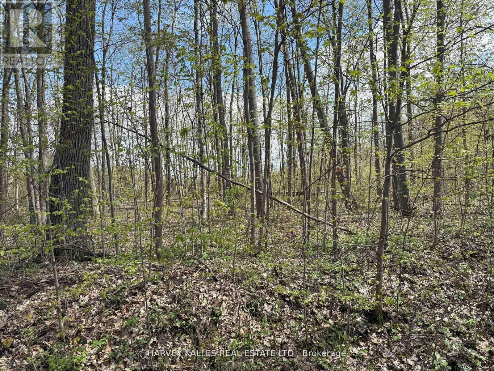 0 Oakwood Lane, Greater Napanee, Ontario  K0H 1G0 - Photo 7 - X12954258