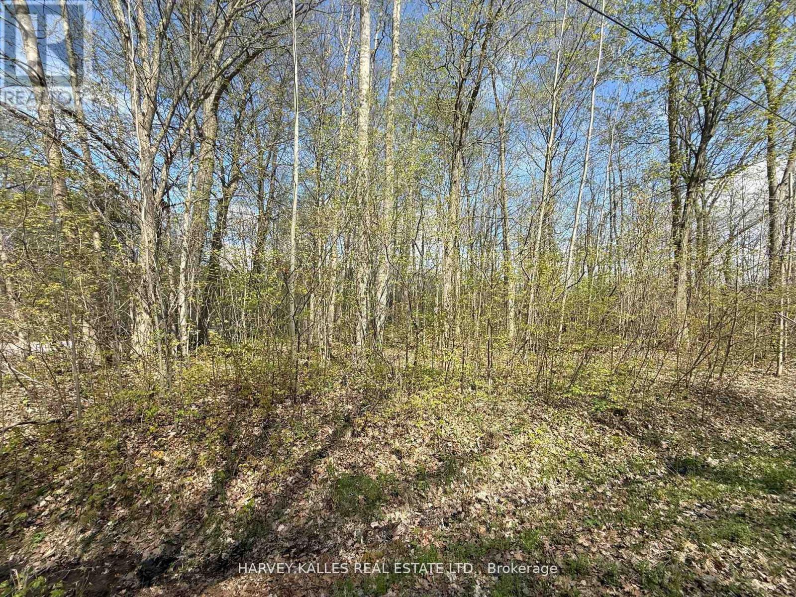 0 Oakwood Lane, Greater Napanee, Ontario  K0H 1G0 - Photo 9 - X12954258