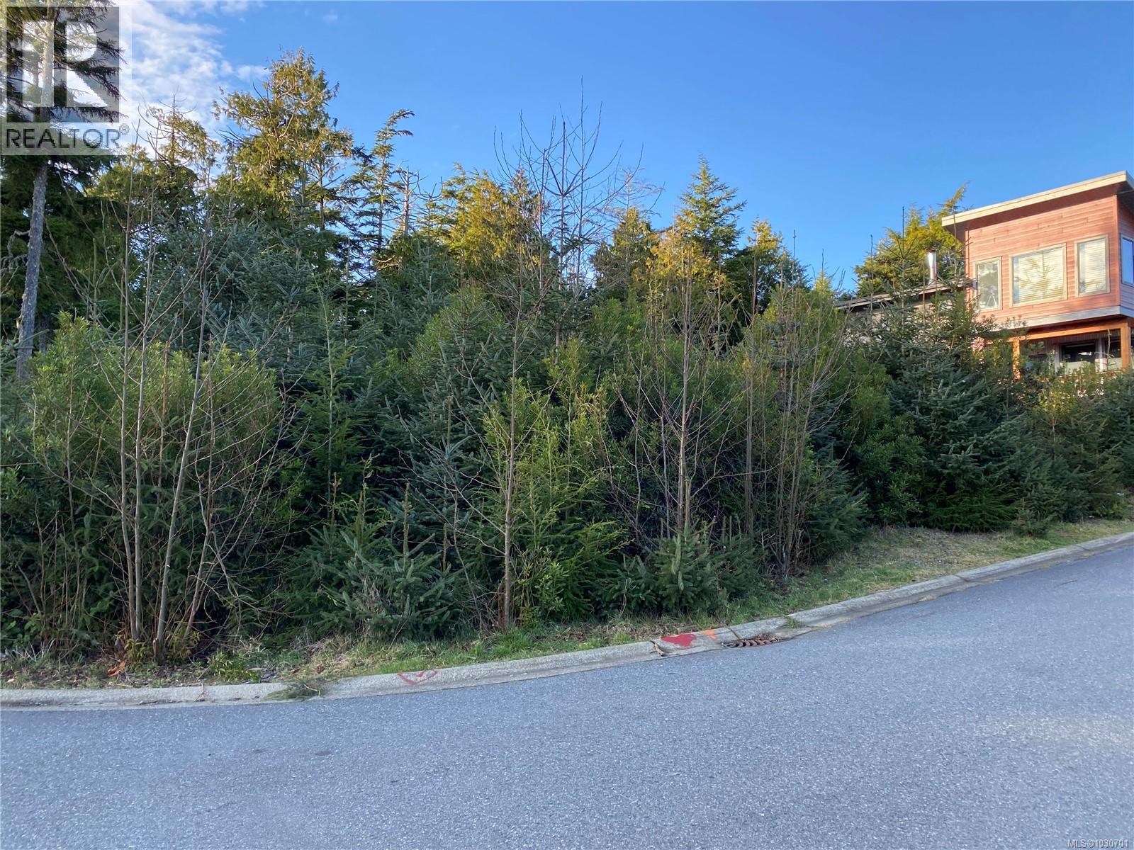 342 Pass Of Melfort Pl, Ucluelet, British Columbia  V0R 3A0 - Photo 4 - 1030701