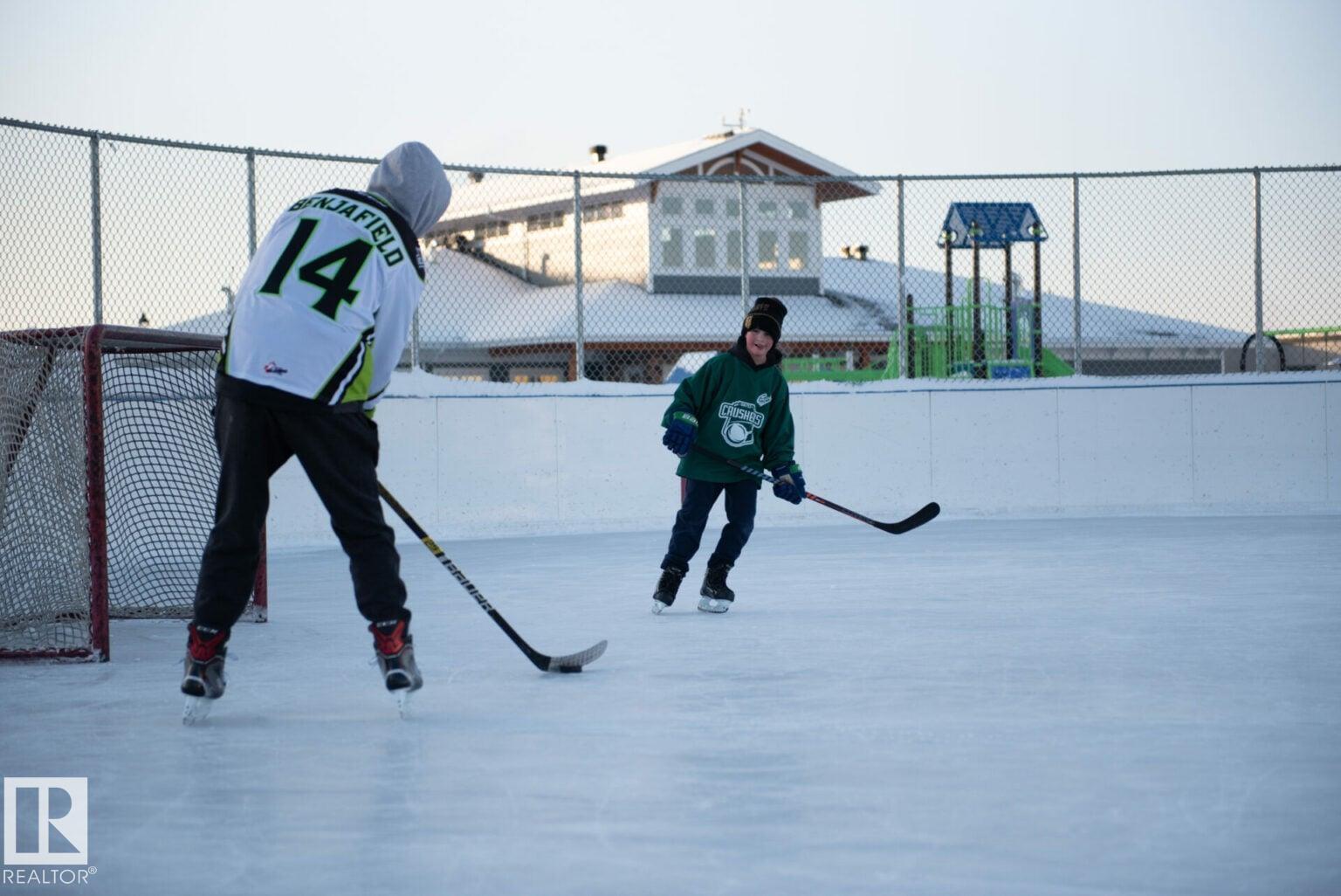#14 1140 Chappelle Bv Sw, Edmonton, Alberta  T6W 2Z3 - Photo 48 - E4476113