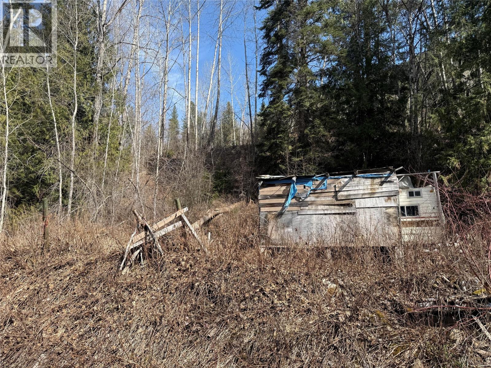 Vector Road Lot# 11, Salmo, British Columbia  V0G 1Z0 - Photo 3 - 10381165