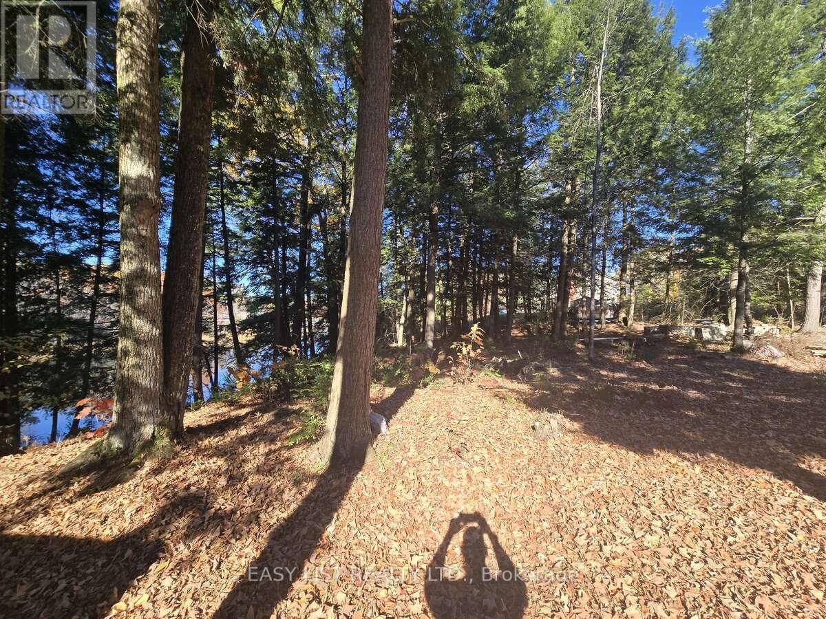 Lot 14 Laidlaw Avenue, Gravenhurst, Ontario  L0K 2B0 - Photo 2 - X12954452