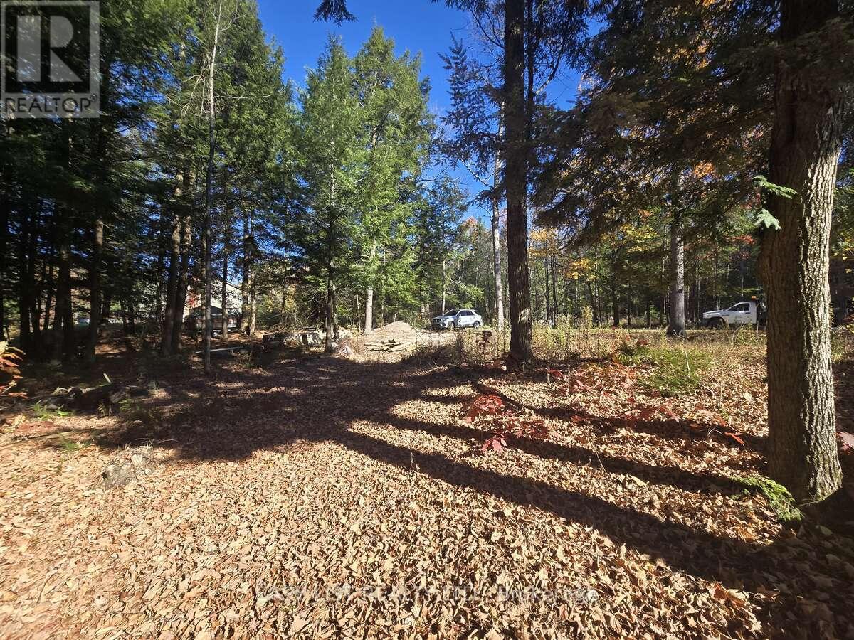 Lot 14 Laidlaw Avenue, Gravenhurst, Ontario  L0K 2B0 - Photo 3 - X12954452