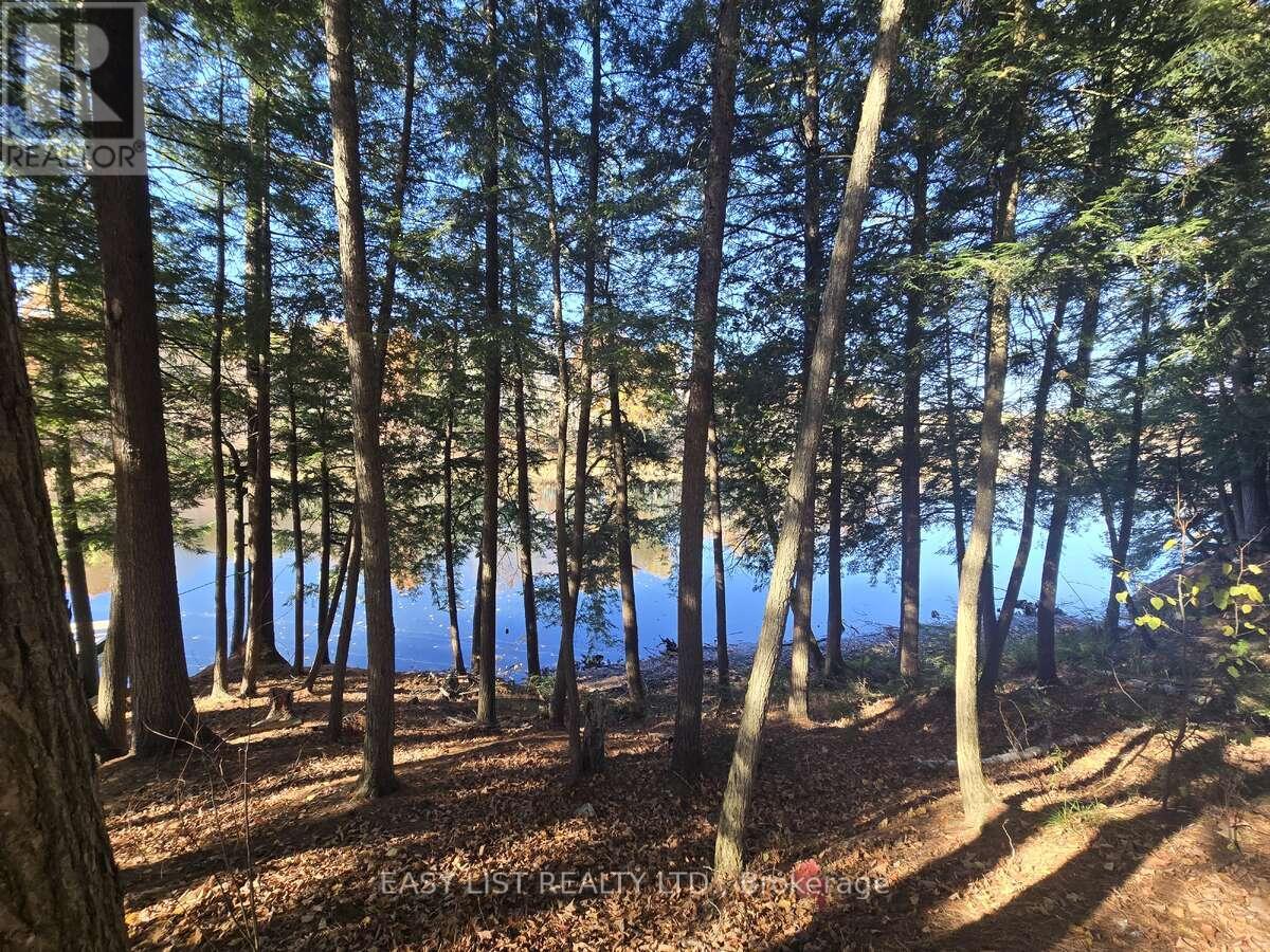 Lot 14 Laidlaw Avenue, Gravenhurst, Ontario  L0K 2B0 - Photo 4 - X12954452