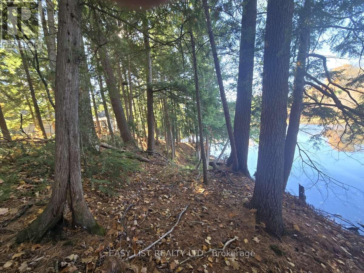 Lot 14 Laidlaw Avenue, Gravenhurst, Ontario  L0K 2B0 - Photo 5 - X12954452