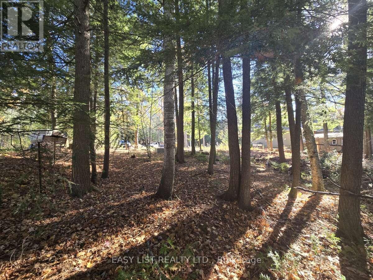 Lot 14 Laidlaw Avenue, Gravenhurst, Ontario  L0K 2B0 - Photo 6 - X12954452