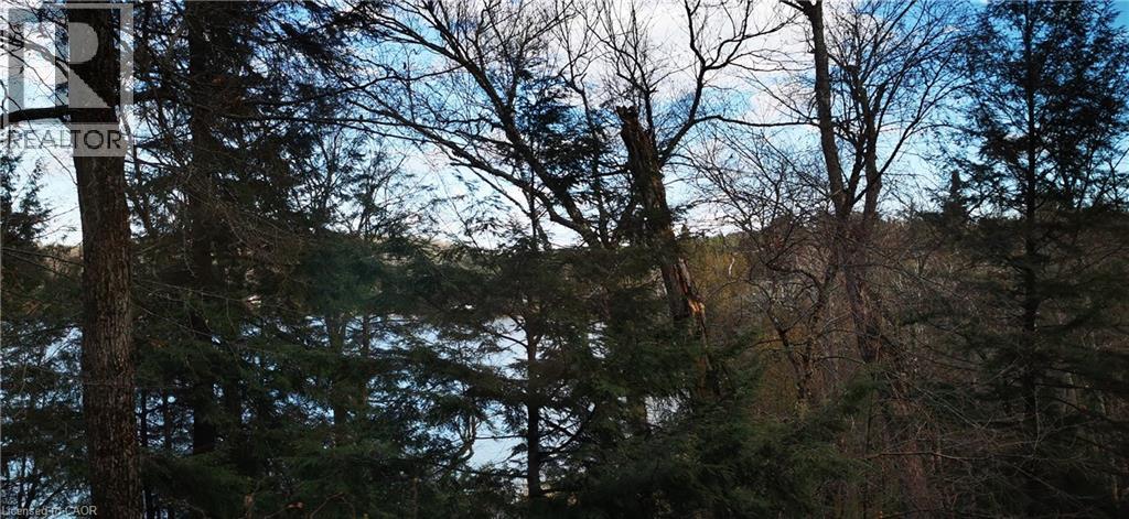 0 Echo Bay Road, Dwight, Ontario  P0A 1H0 - Photo 3 - 40807913