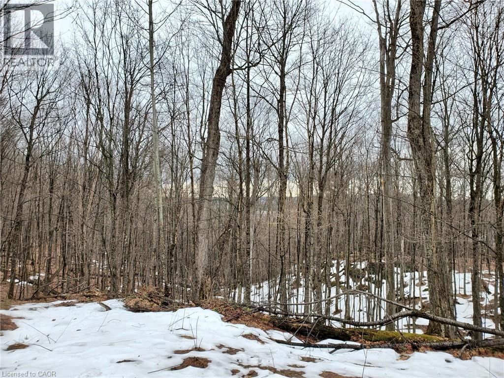 0 Echo Bay Road, Dwight, Ontario  P0A 1H0 - Photo 9 - 40807913