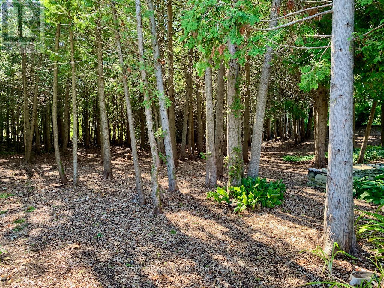 127 Pine Tree Harbour Road, Northern Bruce Peninsula, Ontario  N0H 1Z0 - Photo 44 - X12954586