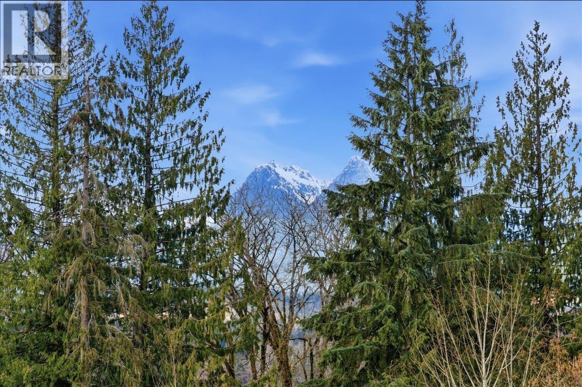 25507 Bosonworth Avenue, Maple Ridge, British Columbia  V4R 1L4 - Photo 22 - R3105711