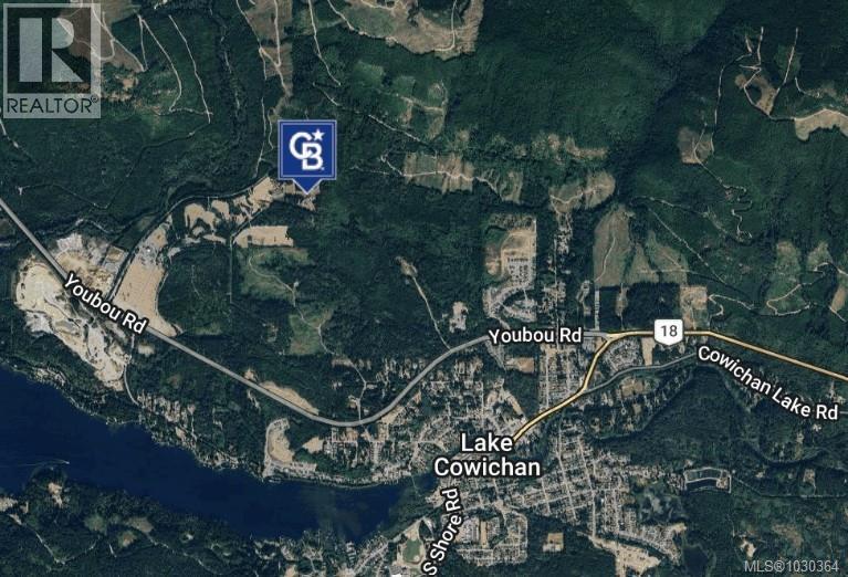 8801 Youbou Rd, Youbou, British Columbia  V0R 3E1 - Photo 3 - 1030364