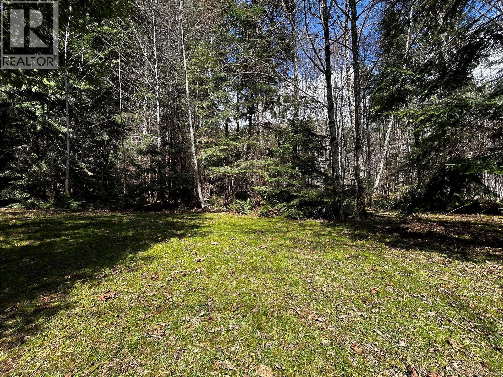 8801 Youbou Rd, Youbou, British Columbia  V0R 3E1 - Photo 11 - 1030364