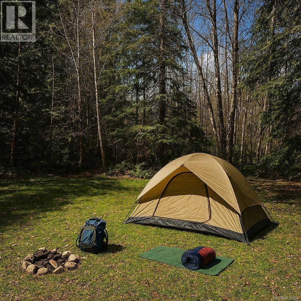 8801 Youbou Rd, Youbou, British Columbia  V0R 3E1 - Photo 12 - 1030364