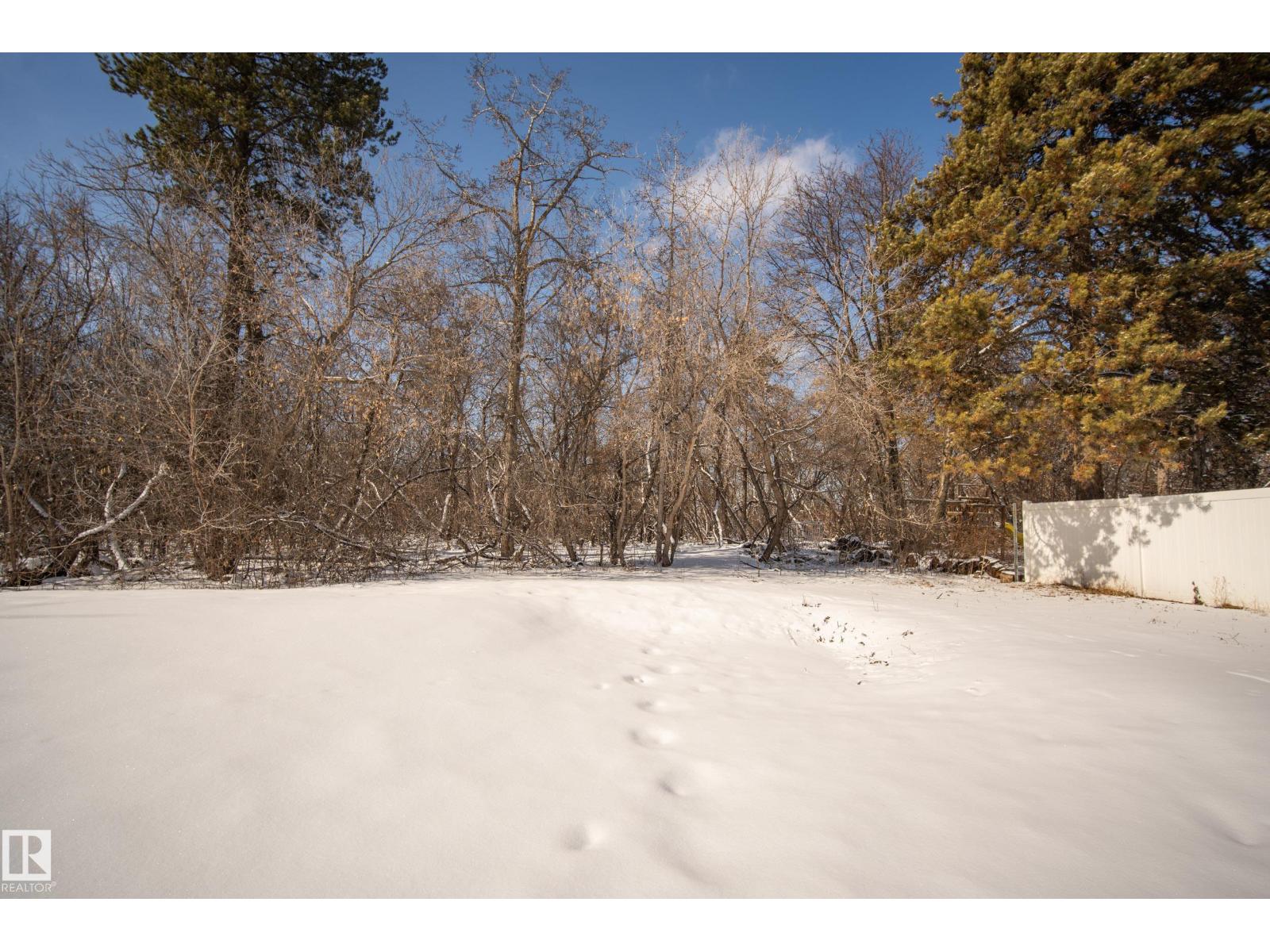 9209 96 Street Nw Nw, Edmonton, Alberta  T6C 3Y5 - Photo 3 - E4480480