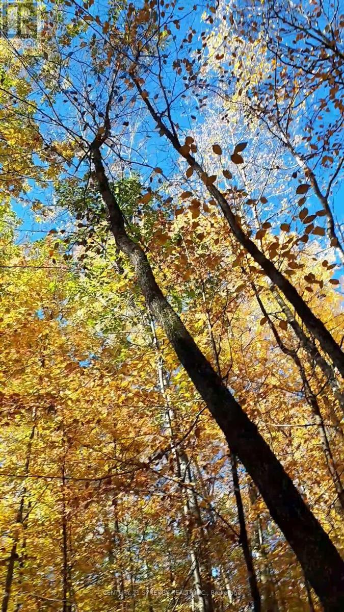 0 Armitage Avenue, Ottawa, Ontario  K0A 1T0 - Photo 18 - X12954754