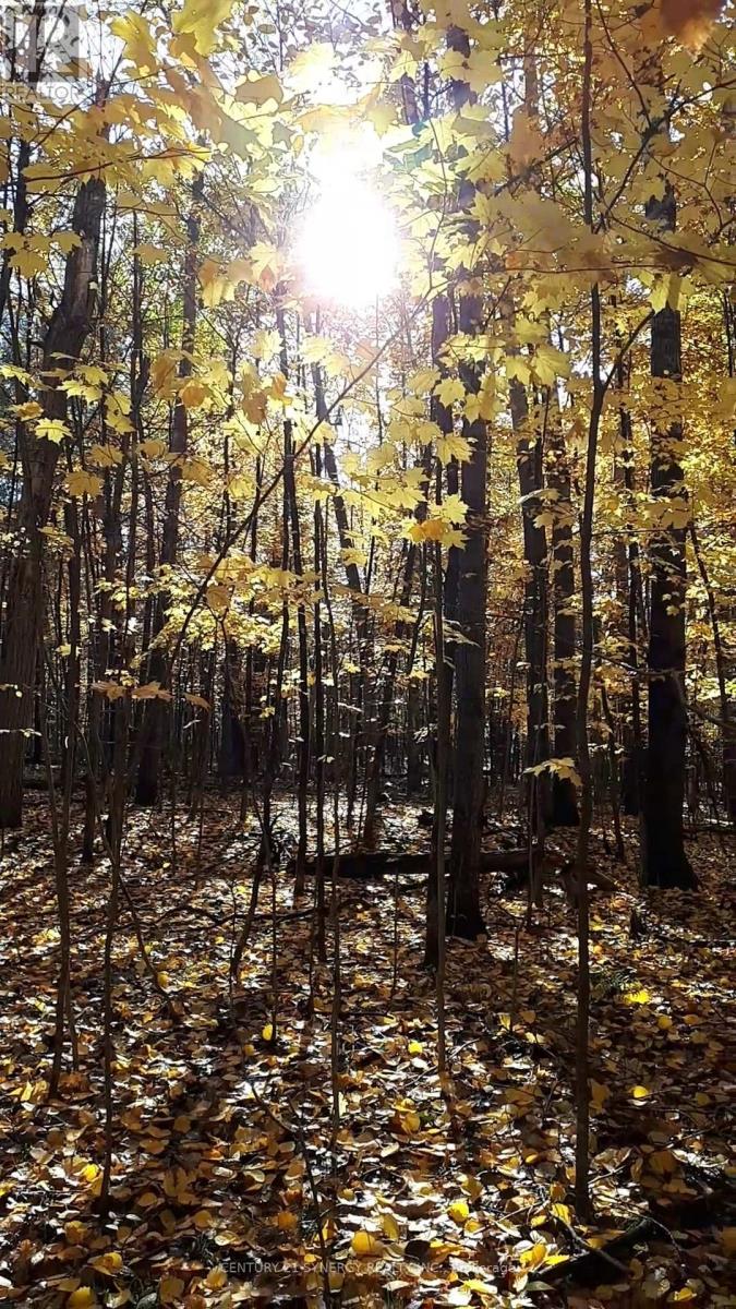 0 Armitage Avenue, Ottawa, Ontario  K0A 1T0 - Photo 19 - X12954754