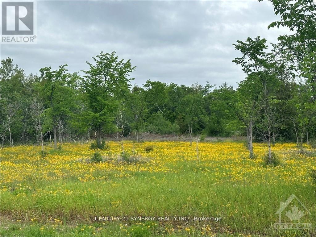 0 Armitage Avenue, Ottawa, Ontario  K0A 1T0 - Photo 4 - X12954754