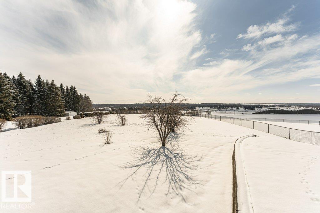 25-54418 Range Road 251, Rural Sturgeon County, Alberta  T8T 0C7 - Photo 65 - E4480487