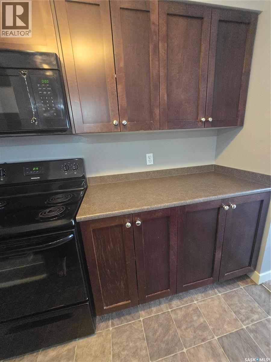201 308 Petterson Drive, Estevan, Saskatchewan  S4A 2B8 - Photo 11 - SK032022