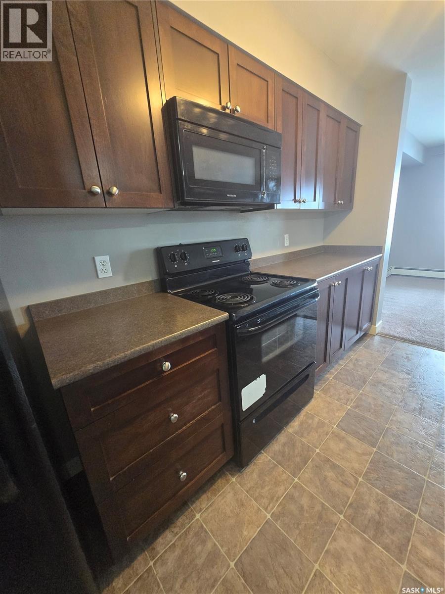 201 308 Petterson Drive, Estevan, Saskatchewan  S4A 2B8 - Photo 9 - SK032022