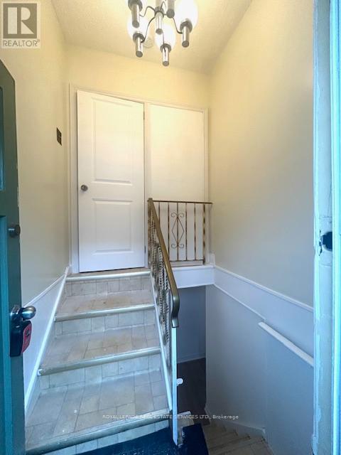 Basement - 6 Hiawatha Parkway, Mississauga, Ontario  L5G 3R7 - Photo 4 - W12954868