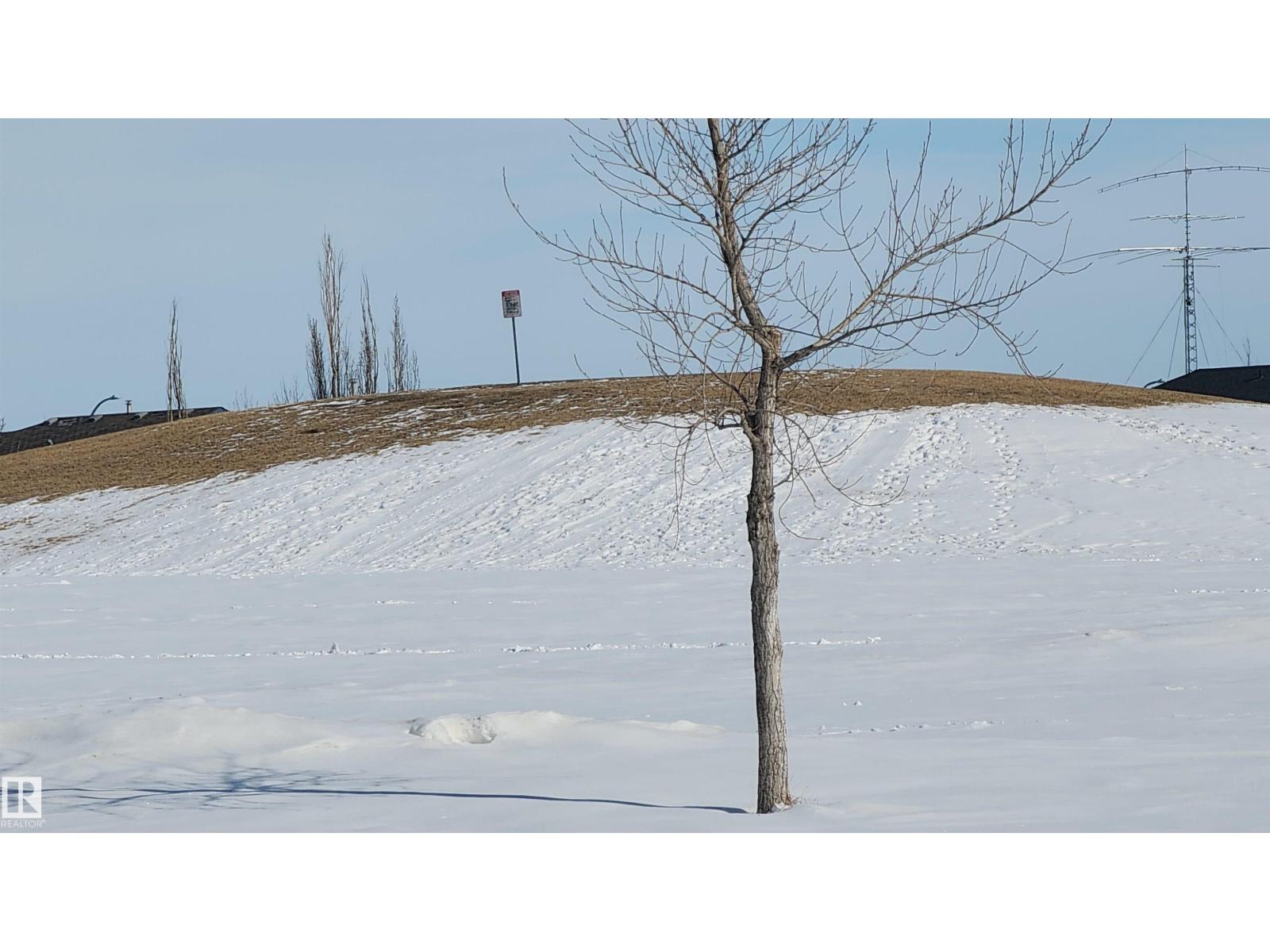 #108 166 Bridgeport Bv, Leduc, Alberta T9E 0J8 - Photo 38 - E4477061