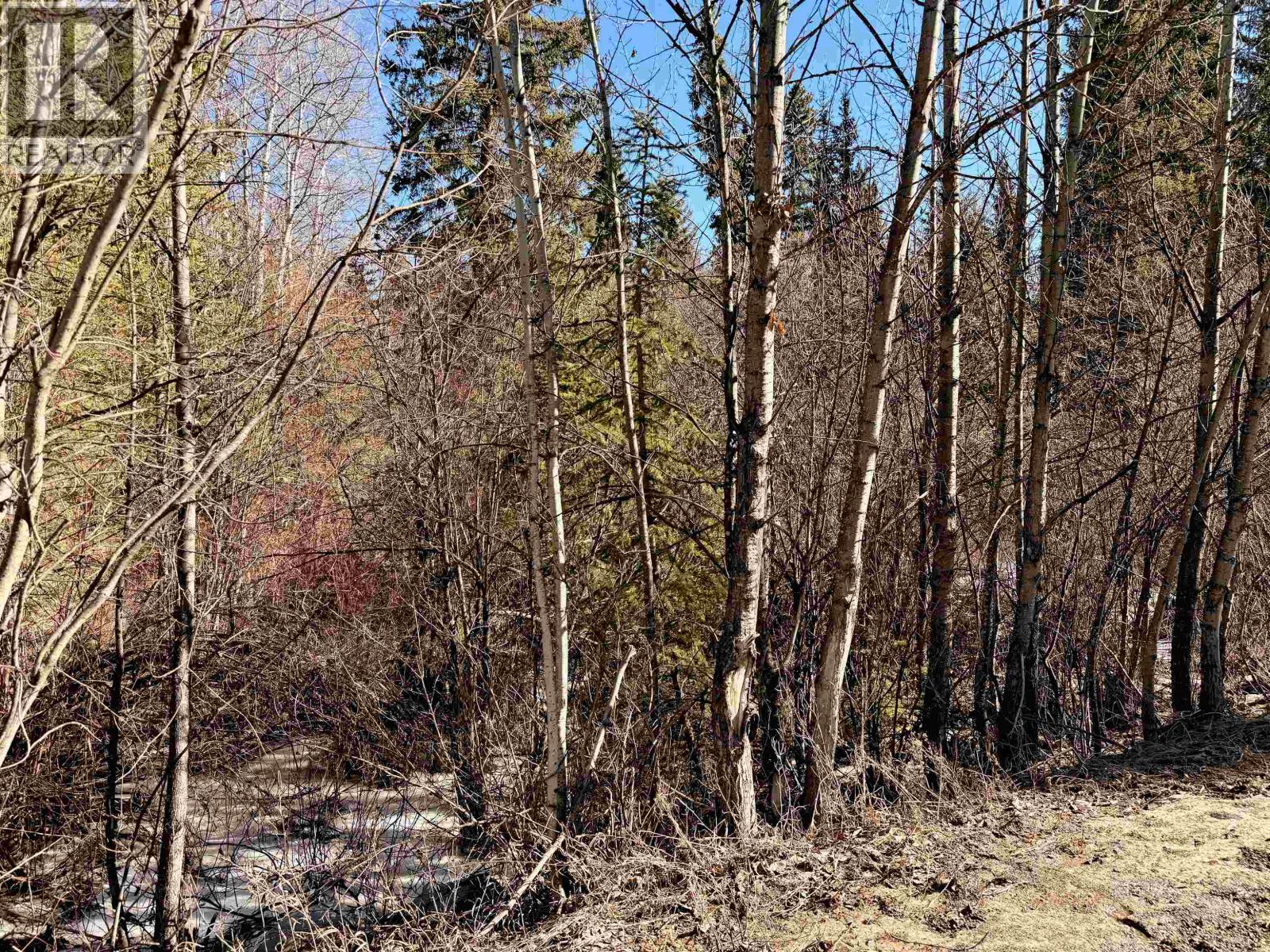 6399 Lambley Road, Horse Lake, British Columbia  V0K 2E3 - Photo 5 - R3104808