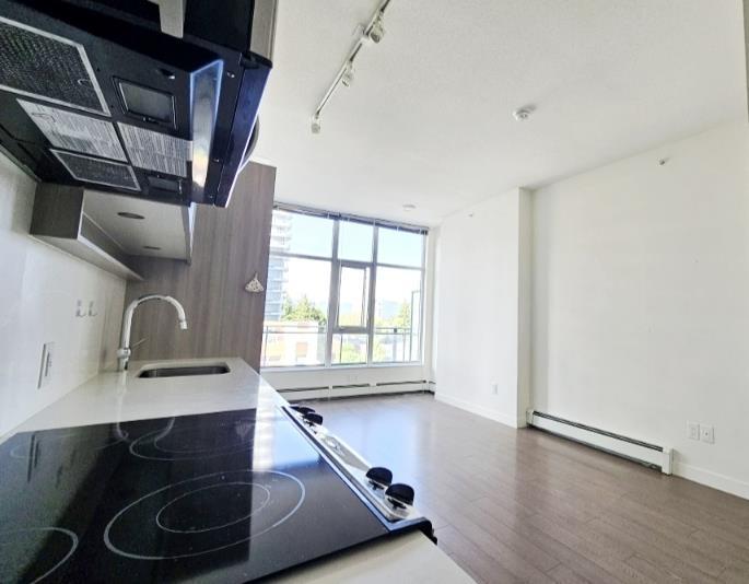 317 13308 Central Avenue, Surrey, British Columbia  V3T 0M4 - Photo 9 - R3100923