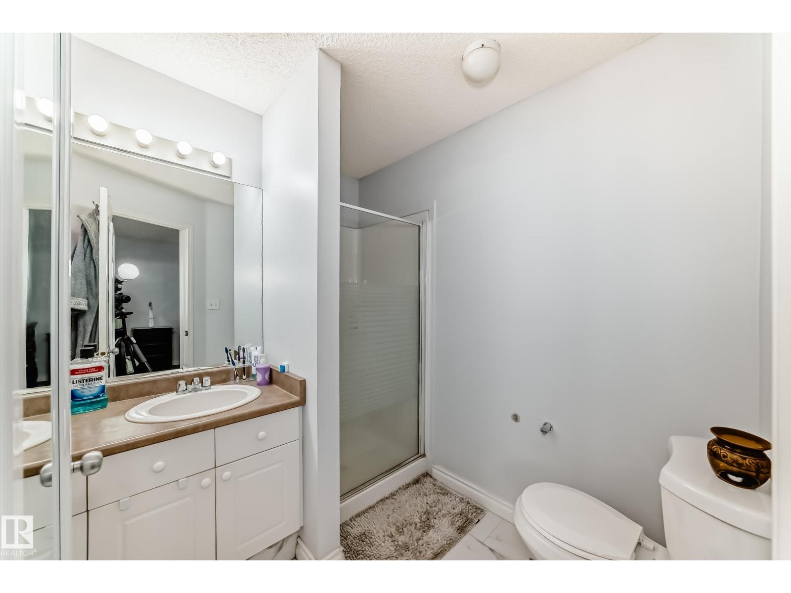 17231 88 St Nw Nw, Edmonton, Alberta  T5Z 3R4 - Photo 16 - E4479958