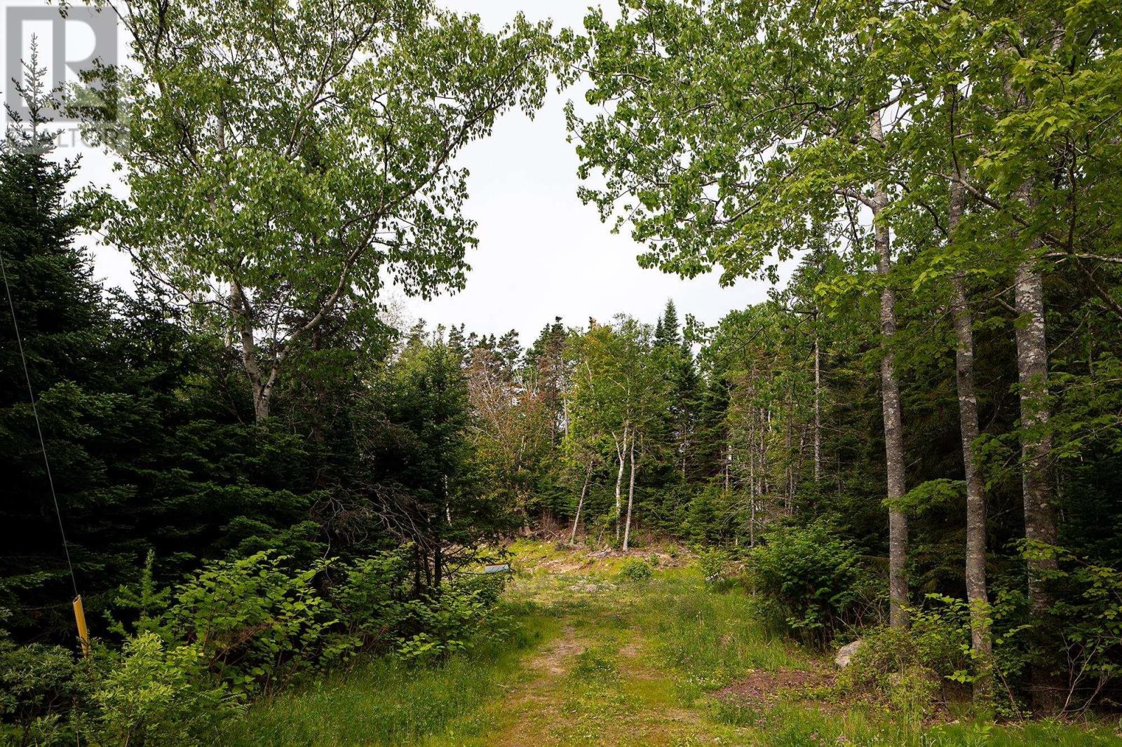 10 Spruce Lane, Boutiliers Point, Nova Scotia  B3Z 4G8 - Photo 7 - 202606214