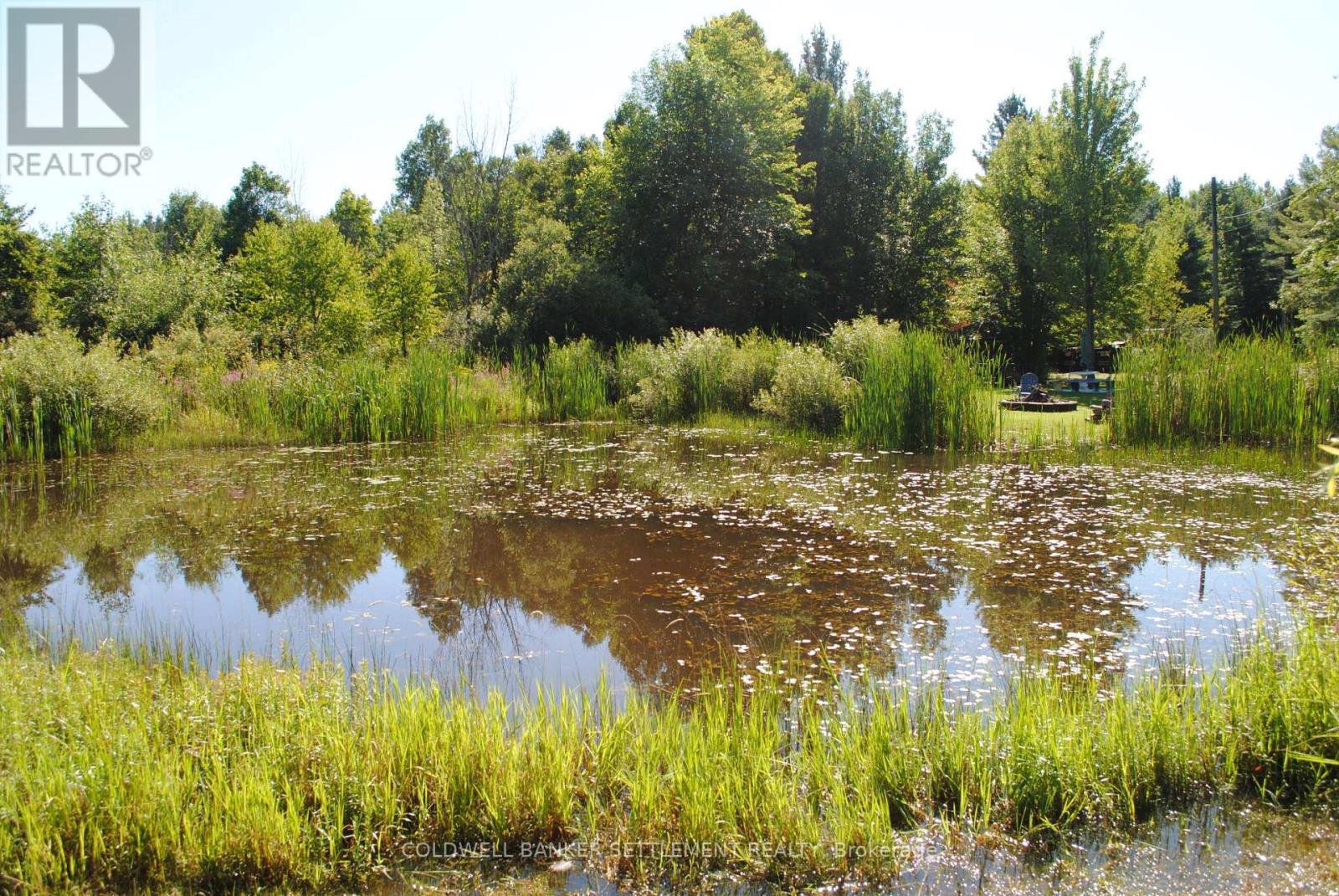 295 Stanley Road, Tay Valley, Ontario  K7H 3C5 - Photo 32 - X12949884