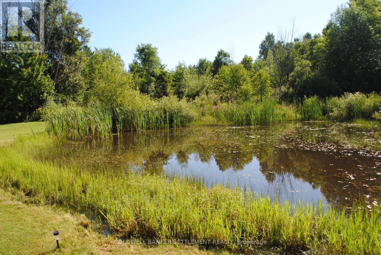 295 Stanley Road, Tay Valley, Ontario  K7H 3C5 - Photo 33 - X12949884