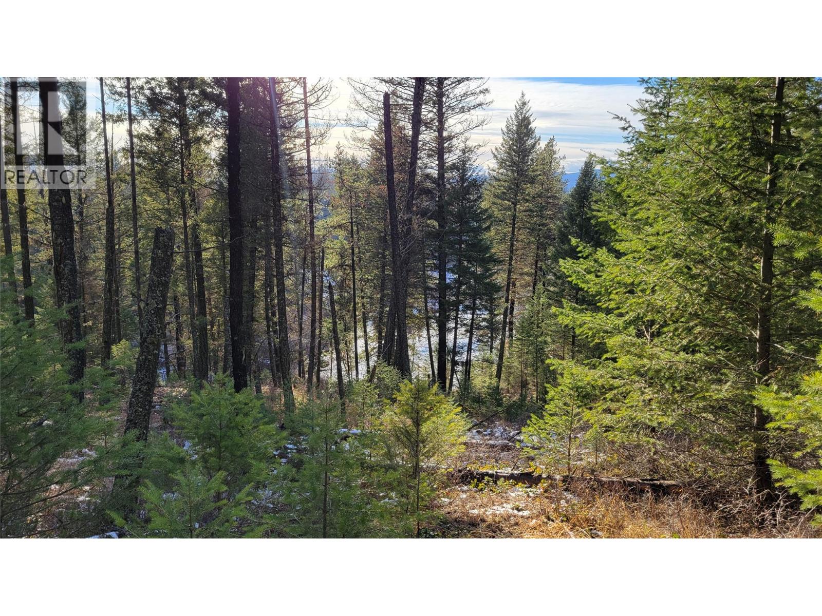 Rosen Heights Road Lot# 7, Jaffray, British Columbia  V0B 1T0 - Photo 5 - 10381651