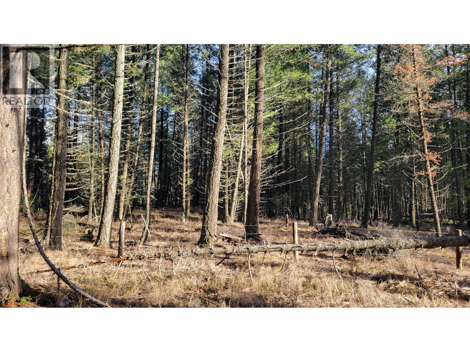 Rosen Heights Road Lot# 7, Jaffray, British Columbia  V0B 1T0 - Photo 10 - 10381651