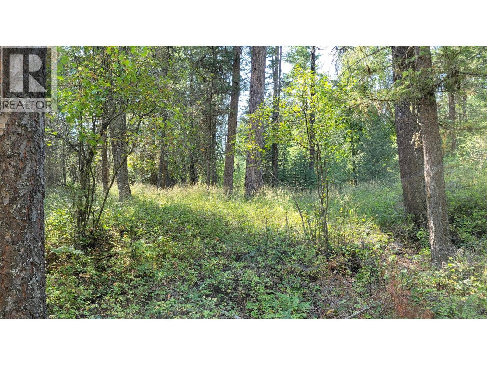 2870 Rosen Heights Road, Jaffray, British Columbia V0B 1T0 - Photo 7 - 10381681