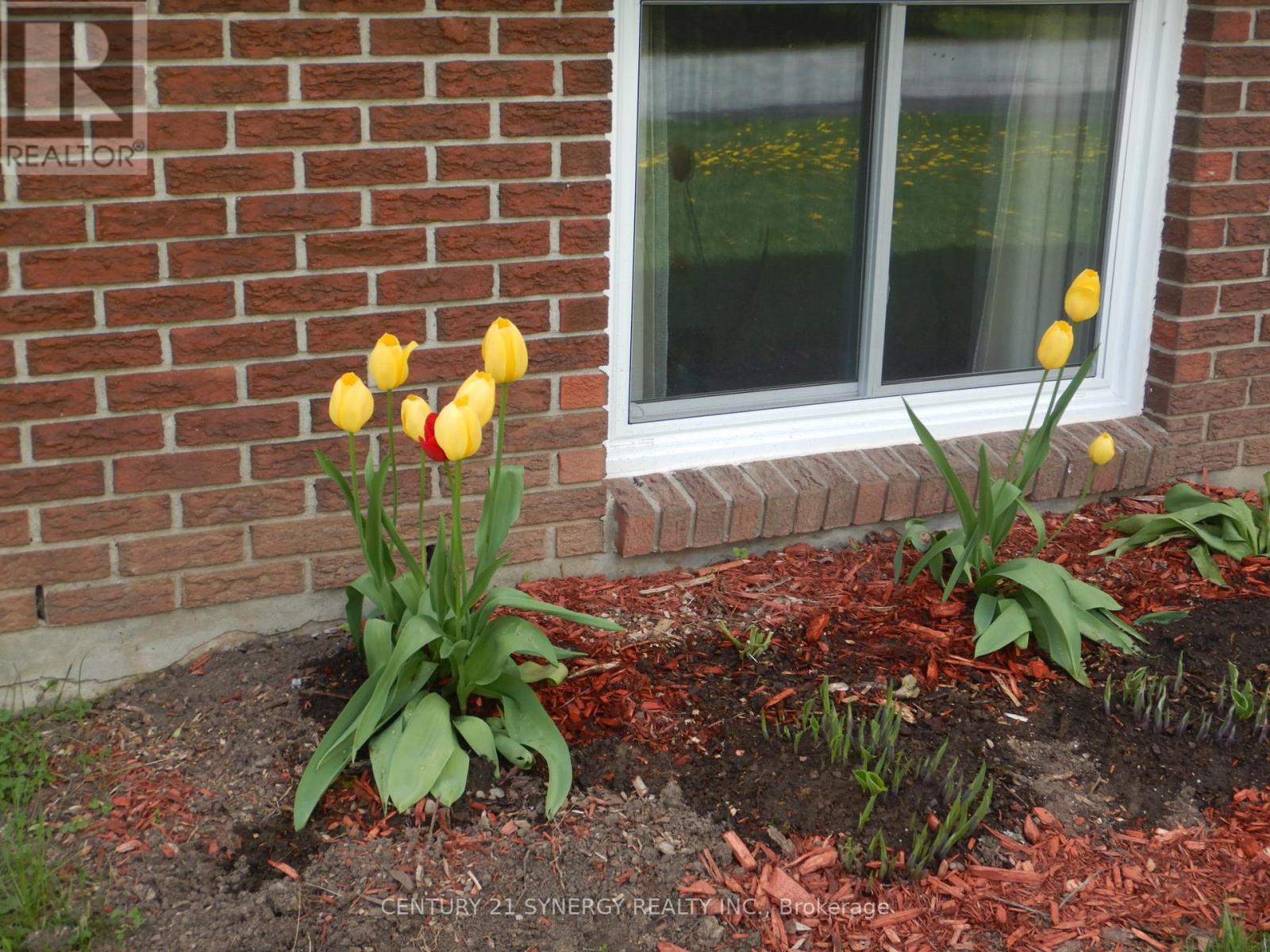 127 Snedden Drive, Mississippi Mills, Ontario  K0A 1A0 - Photo 33 - X12948544